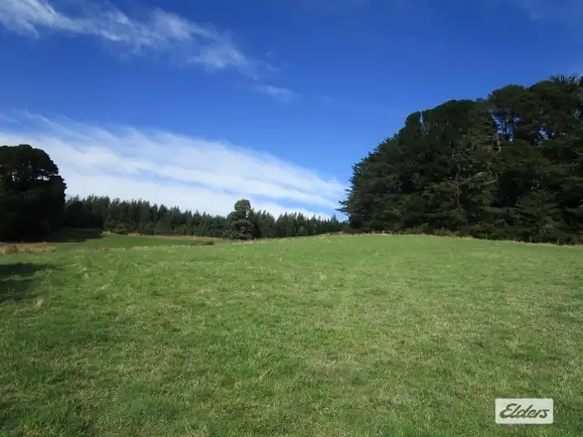 Fifth view of Homely rural property listing, 1951 Wilmot Road, Lower Wilmot TAS 7310