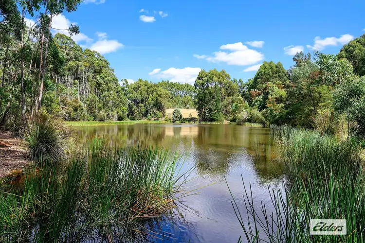 Sixth view of Homely rural property listing, 306 Murchison Highway, Somerset TAS 7322