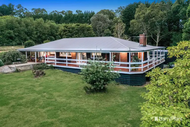 50 Falls Road, Hoddles Creek VIC 3139