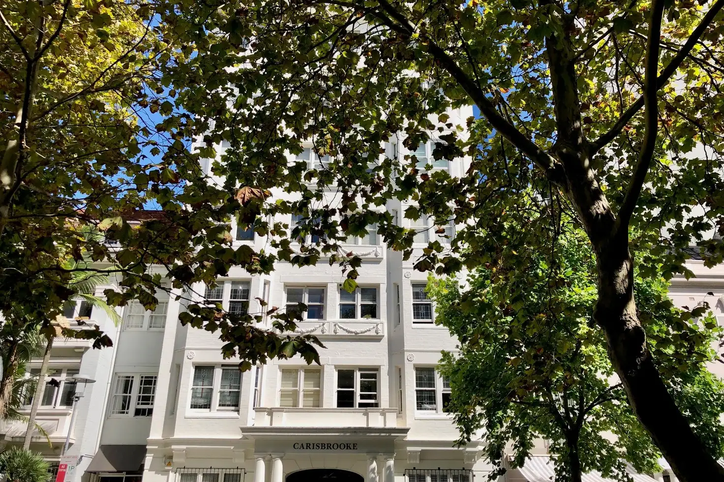 Main view of Homely apartment listing, 19/11 Springfield Avenue, Potts Point NSW 2011