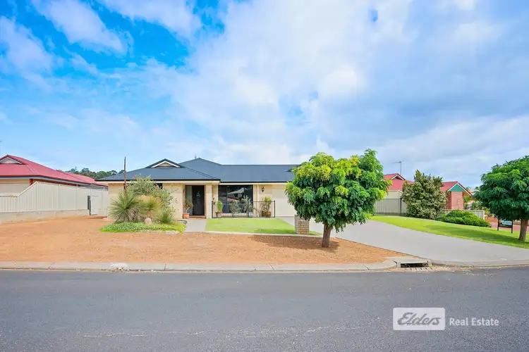 Main view of Homely house listing, 12 Jacaranda Loop, Collie WA 6225