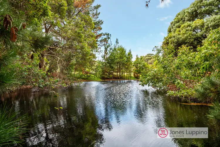 241 Stumpy Gully Road