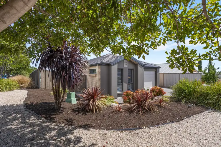 Second view of Homely house listing, 11 Sabella Place, Noarlunga Downs SA 5168