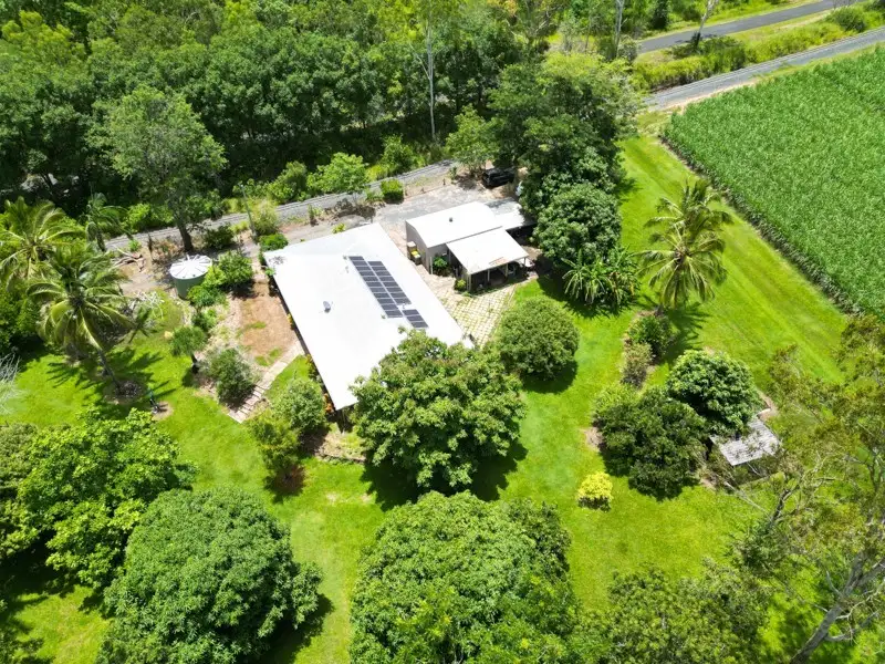 Main view of Homely house listing, 99 Sorensens Road, Kuttabul QLD 4741