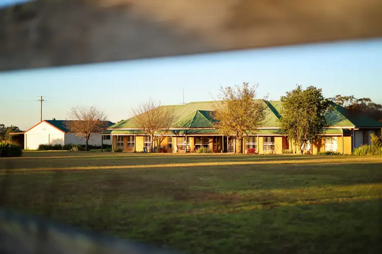 Fifth view of Homely house listing, 20 Lyrebird Road, Pheasants Nest NSW 2574