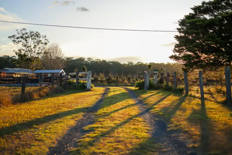 Sixth view of Homely house listing, 20 Lyrebird Road, Pheasants Nest NSW 2574