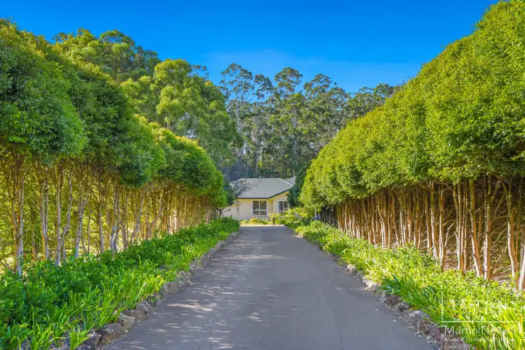 Fourth view of Homely house listing, 16 Moncrieff Close, King Creek NSW 2446