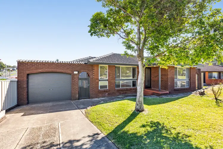 14 Brisbane Place, Barrack Heights NSW 2528