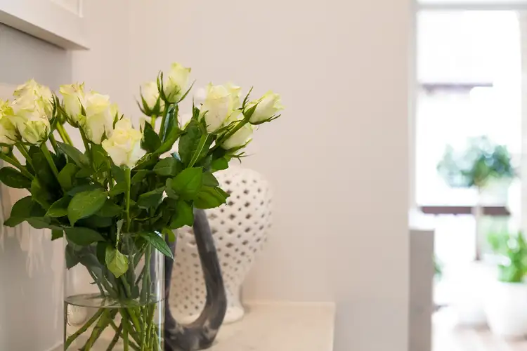 Sixth view of Homely apartment listing, 12/57 Grasmere Road, Cremorne NSW 2090