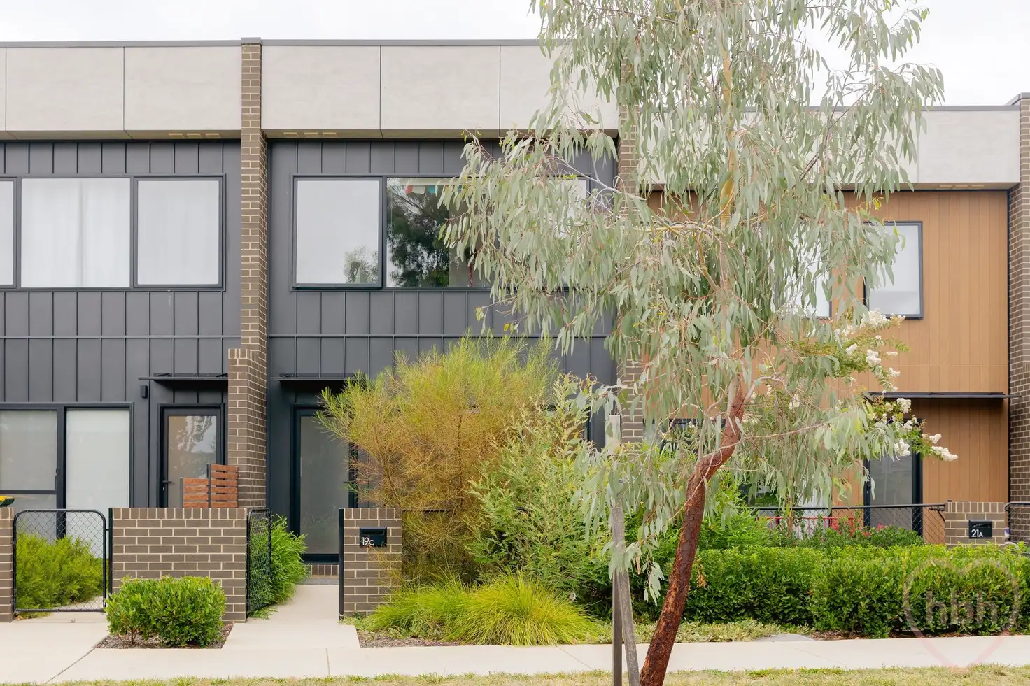 Main view of Homely townhouse listing, 19c Negus Crescent, Watson ACT 2602