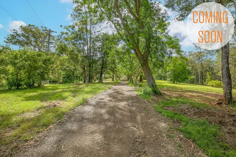 Second view of Homely rural property listing, 244 Dungay Creek Road, Yessabah NSW 2440
