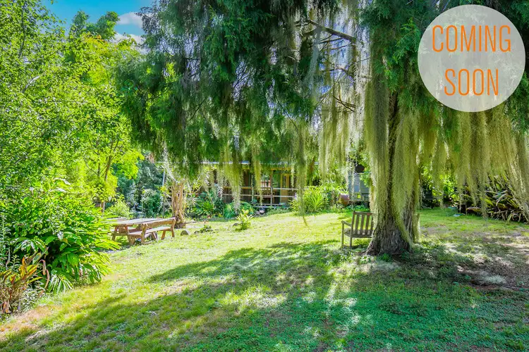 Third view of Homely rural property listing, 244 Dungay Creek Road, Yessabah NSW 2440