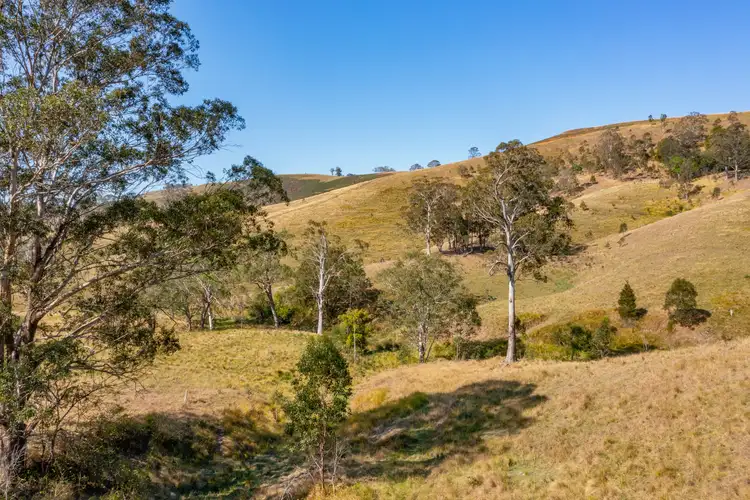 Main view of Homely rural property listing, 101/438 Bingleburra Road, Dungog NSW 2420