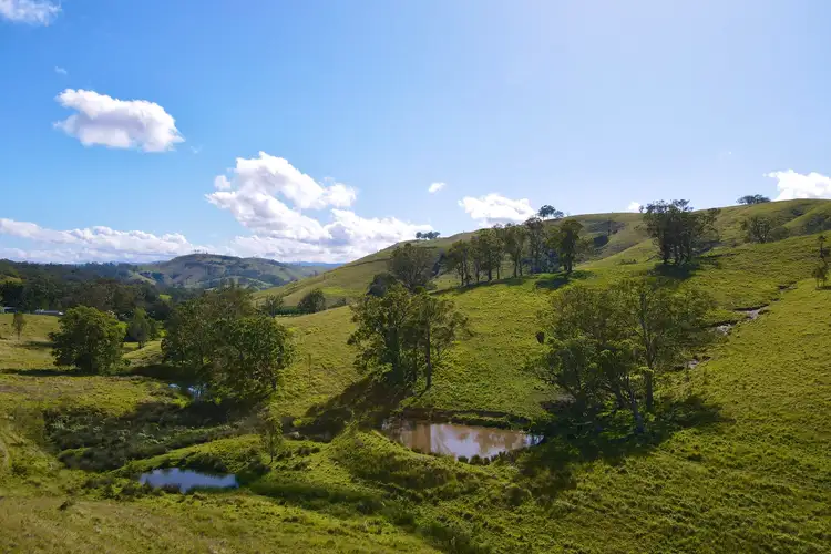 Third view of Homely rural property listing, 101/438 Bingleburra Road, Dungog NSW 2420
