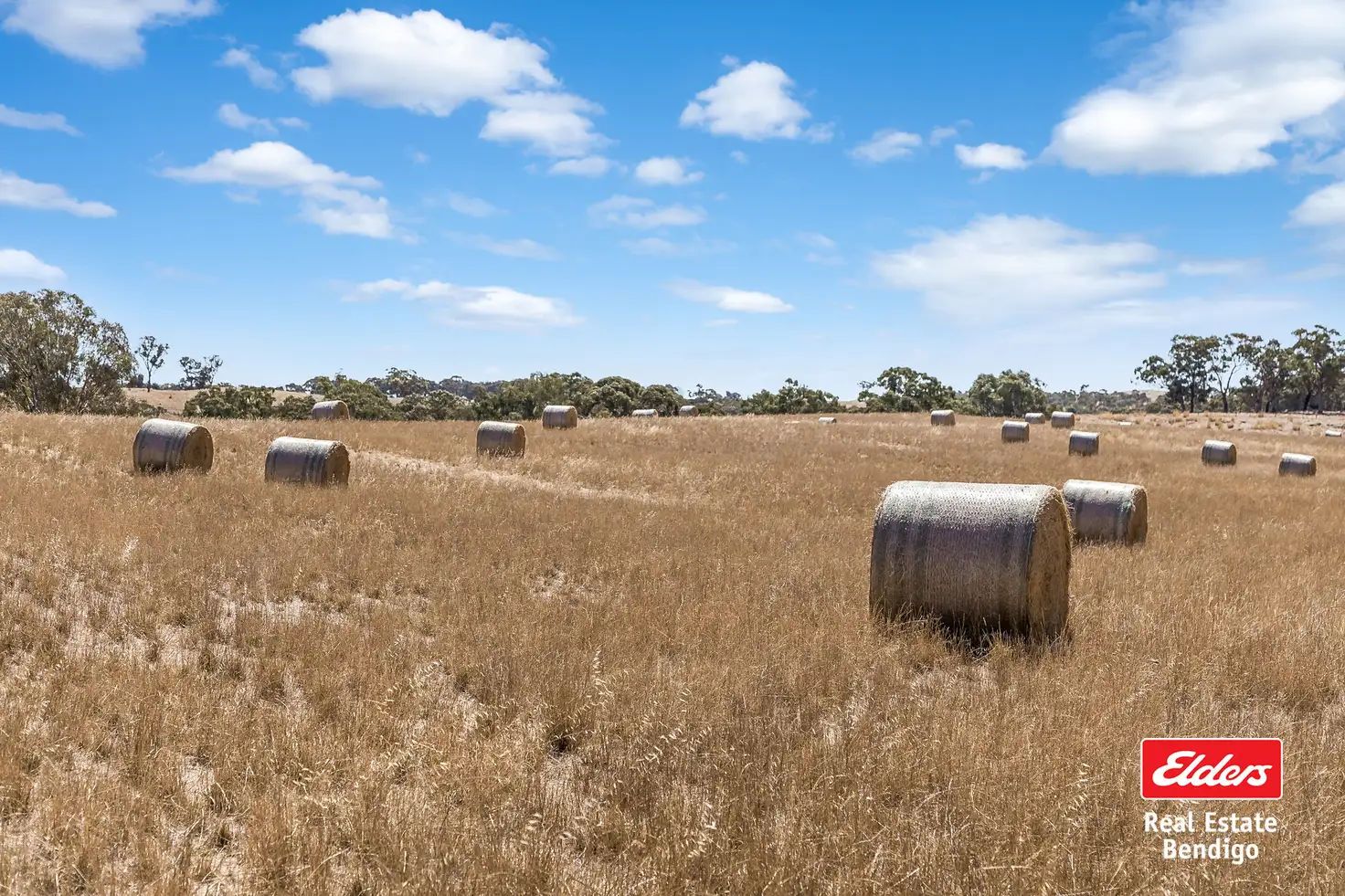 Main view of Homely rural property listing, 1110 Heathcote-Spring Plains Road, Mia Mia VIC 3444