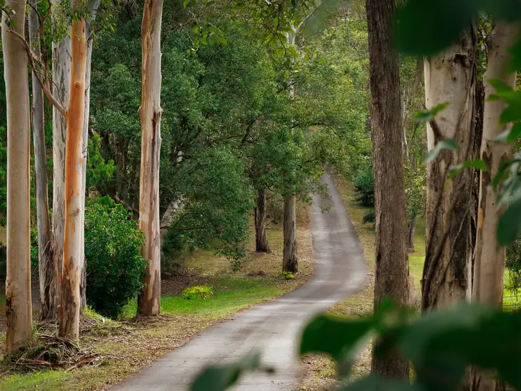 Second view of Homely rural property listing, 166 Gap Creek Road, Kenmore Hills QLD 4069