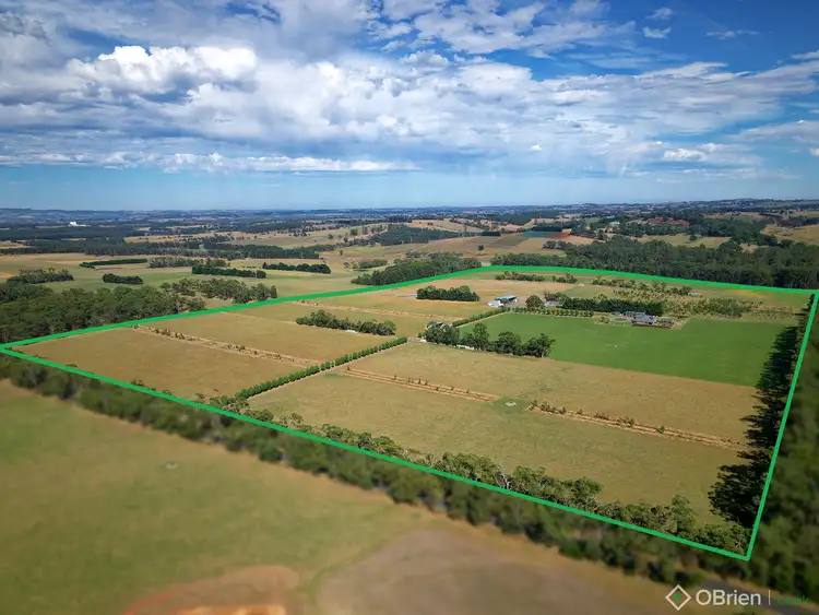 Second view of Homely rural property listing, 935 Darnum-Shady Creek Road, Shady Creek VIC 3821