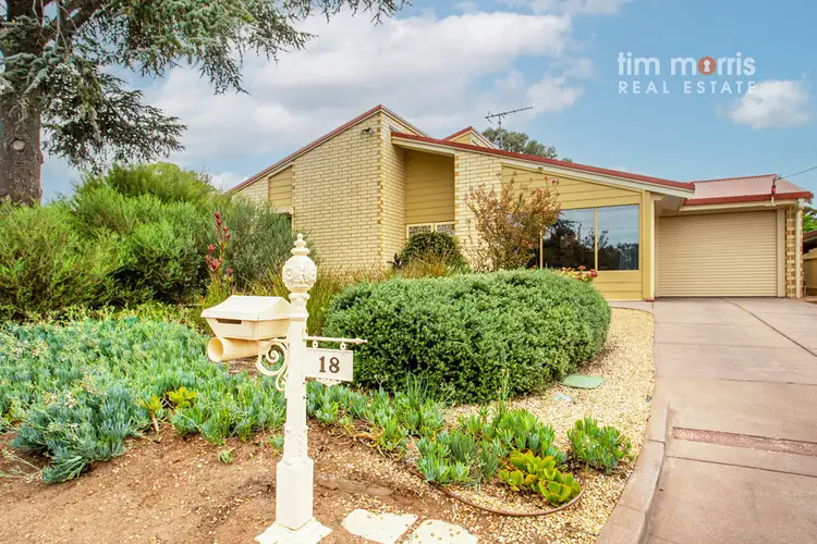 18 McKinlay Avenue, Gawler East SA 5118