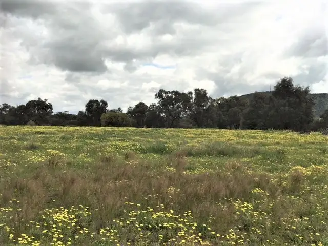 Third view of Homely land listing, 127 Newcastle Steet, York WA 6302
