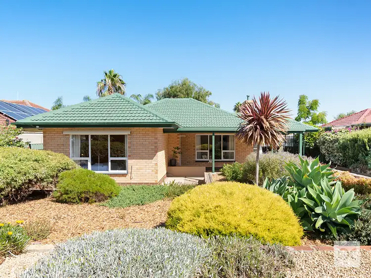59 Suzanne Avenue, Morphett Vale SA 5162