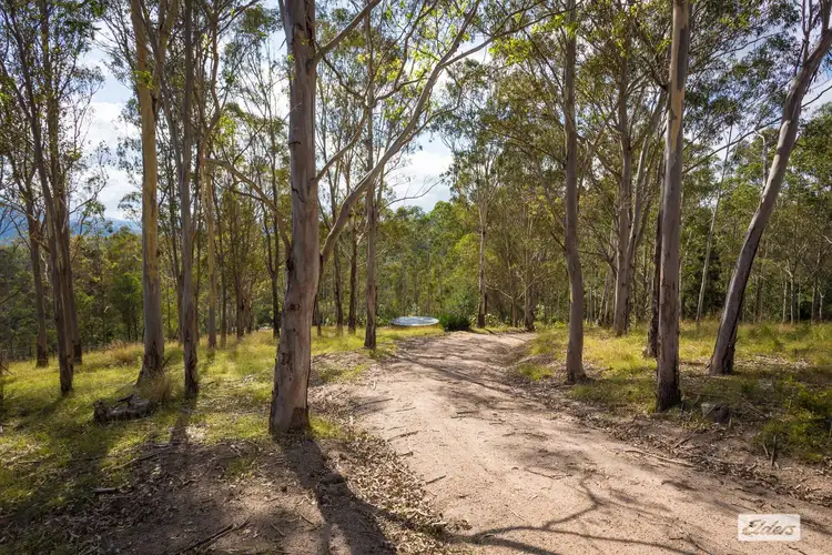 Second view of Homely rural property listing, 1150 Warrigal Range Road, Brogo NSW 2550