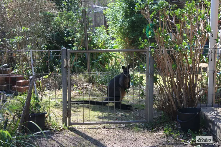 Sixth view of Homely rural property listing, 1150 Warrigal Range Road, Brogo NSW 2550