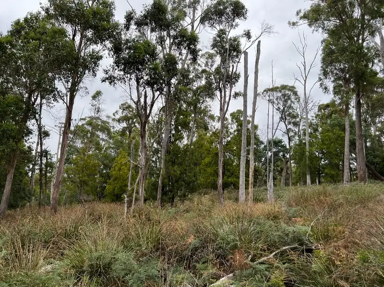 LOT A, 57 Lightwood Hills Road, Beaconsfield TAS 7270