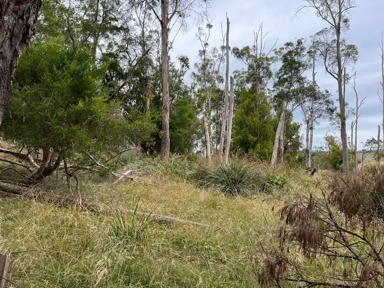 Sixth view of Homely rural property listing, LOT A, 57 Lightwood Hills Road, Beaconsfield TAS 7270