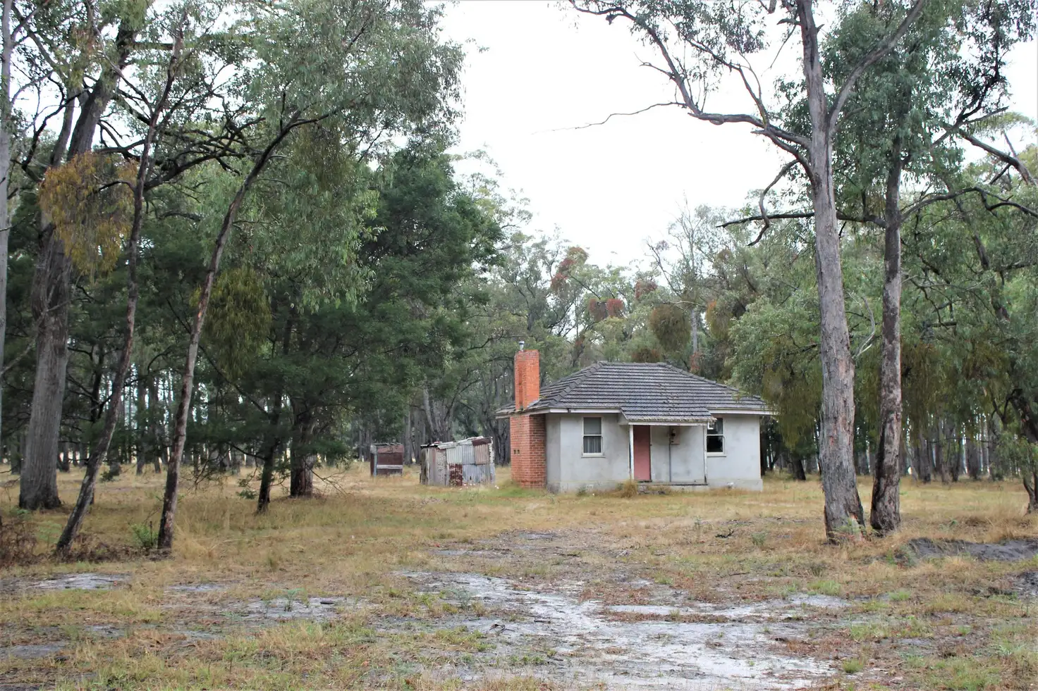 Main view of Homely rural property listing, 120 Buckleys Island Road, Yarram VIC 3971