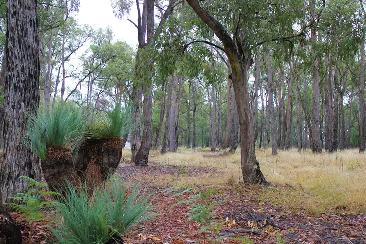 Second view of Homely rural property listing, 120 Buckleys Island Road, Yarram VIC 3971