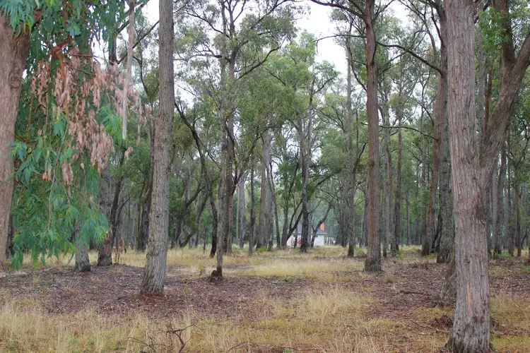 Sixth view of Homely rural property listing, 120 Buckleys Island Road, Yarram VIC 3971