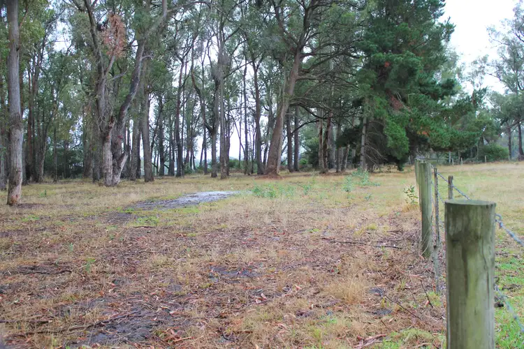Seventh view of Homely rural property listing, 120 Buckleys Island Road, Yarram VIC 3971
