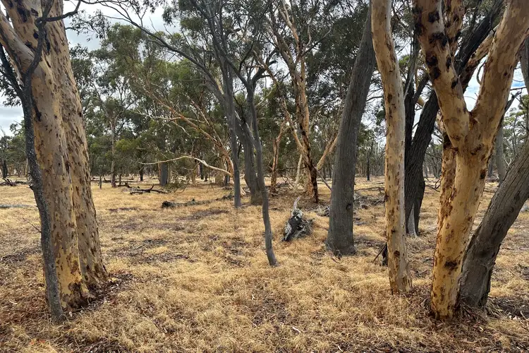 Fourth view of Homely rural property listing, lot 6138 Petchell Road, Beverley WA 6304