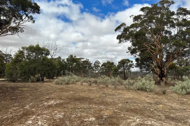 Seventh view of Homely rural property listing, lot 6138 Petchell Road, Beverley WA 6304