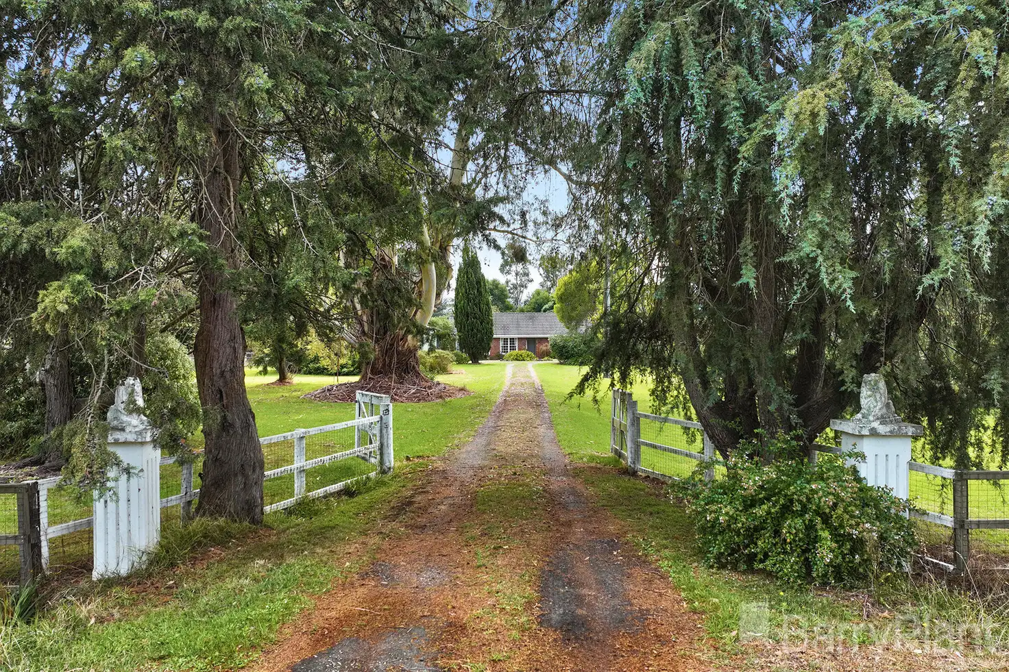 Main view of Homely house listing, 355 Princes Way, Longwarry North VIC 3816