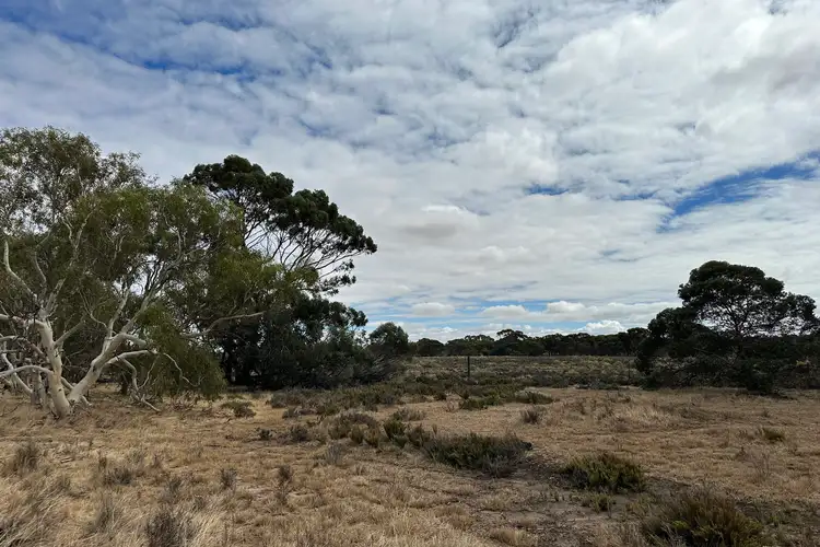 Fifth view of Homely rural property listing, 1749b Mawson Road, Beverley WA 6304