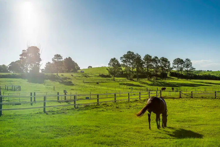 Fifth view of Homely house listing, 11 Secret Lane, Cudgen NSW 2487