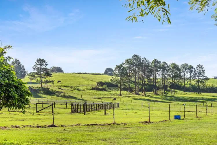 Sixth view of Homely house listing, 11 Secret Lane, Cudgen NSW 2487