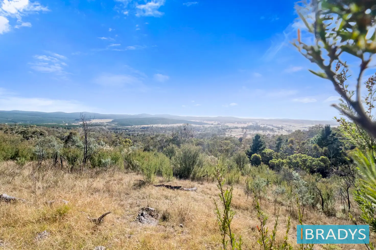 Main view of Homely land listing, 361 Trig Lane, Carwoola NSW 2620