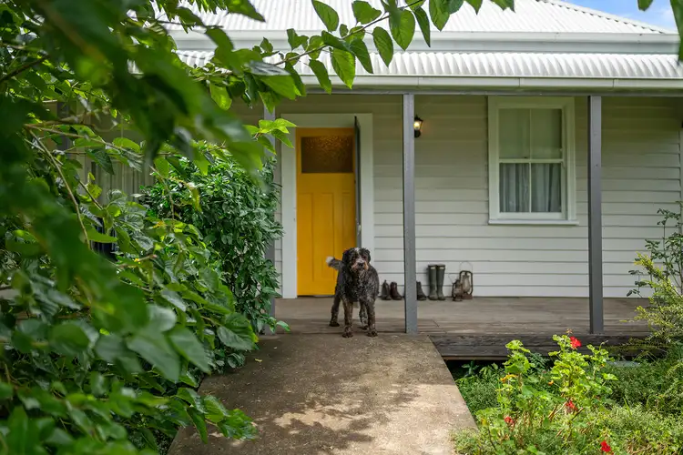 Main view of Homely house listing, 54 Berkeley Street, Stroud NSW 2425