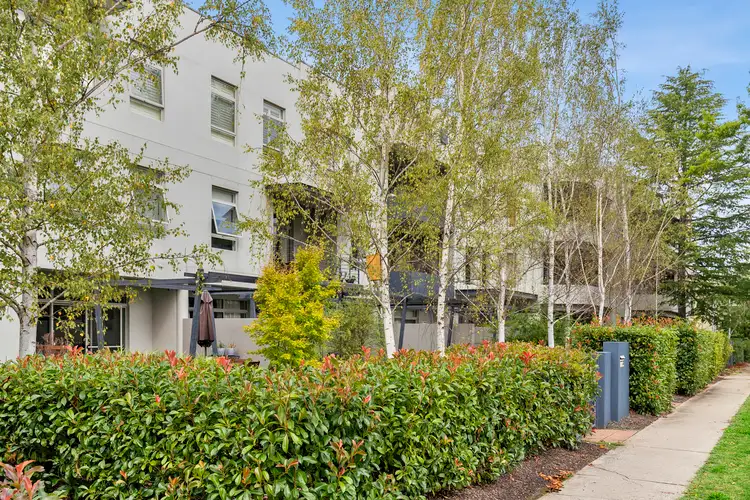17/6 Macleay Street