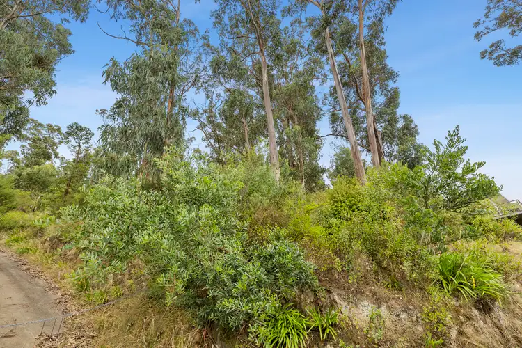 Third view of Homely land listing, 45 Karingal Drive, Wye River VIC 3234