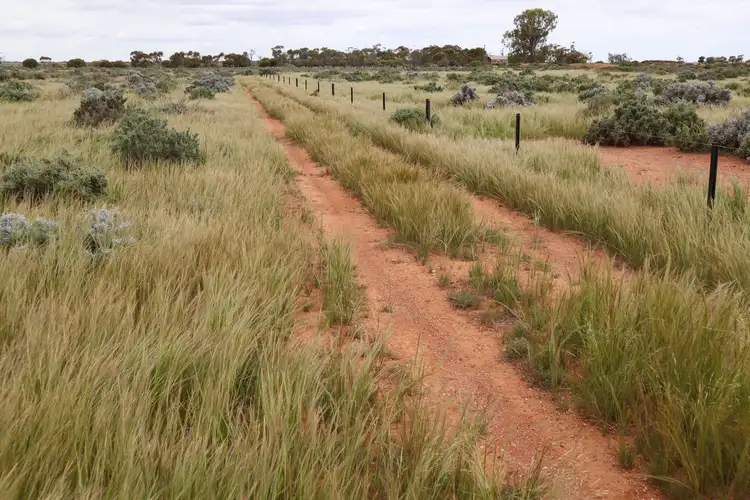 Second view of Homely rural property listing, Balah Road, Burra SA 5417