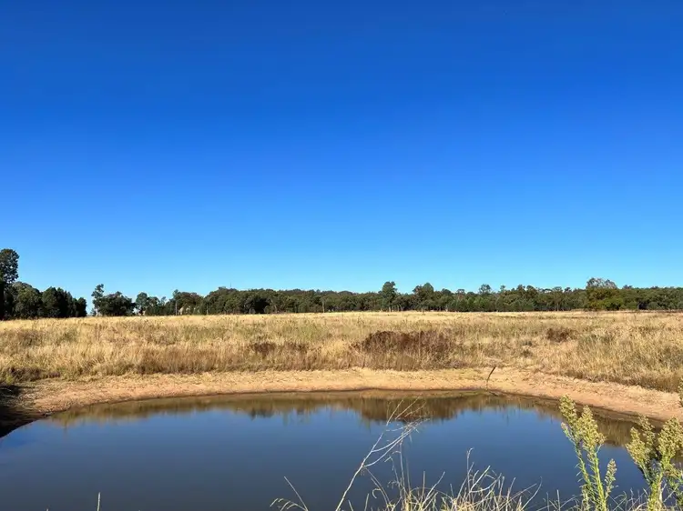 Main view of Homely rural property listing, 501 Elong Elong Road, Elong Elong NSW 2831