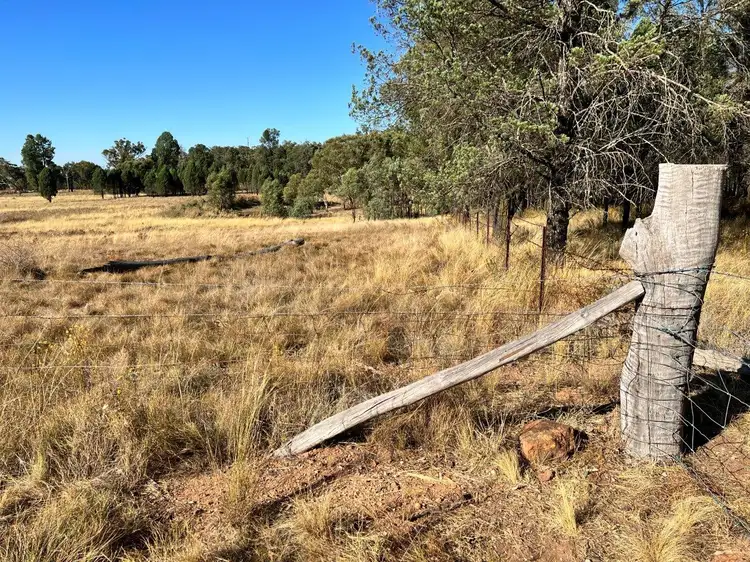 Third view of Homely rural property listing, 501 Elong Elong Road, Elong Elong NSW 2831