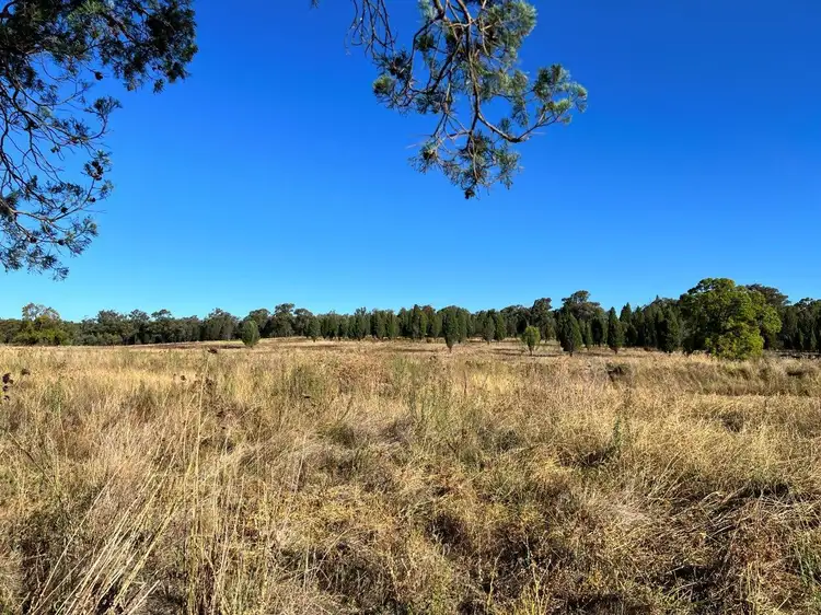 Fourth view of Homely rural property listing, 501 Elong Elong Road, Elong Elong NSW 2831