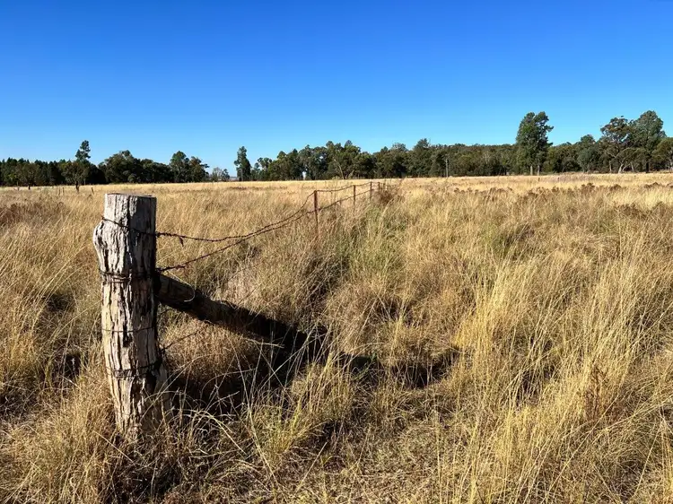 Fifth view of Homely rural property listing, 501 Elong Elong Road, Elong Elong NSW 2831