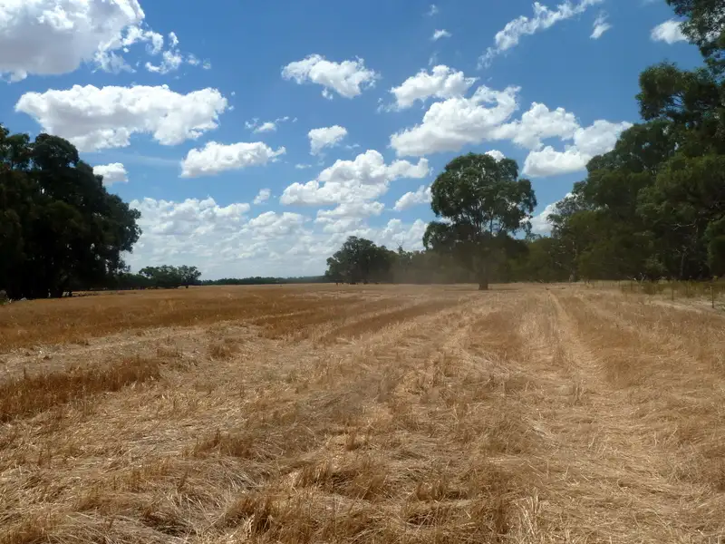 Main view of Homely rural property listing, Cas 15a, B, C & Cas 16a, B, E & F River Road, Charlton VIC 3525