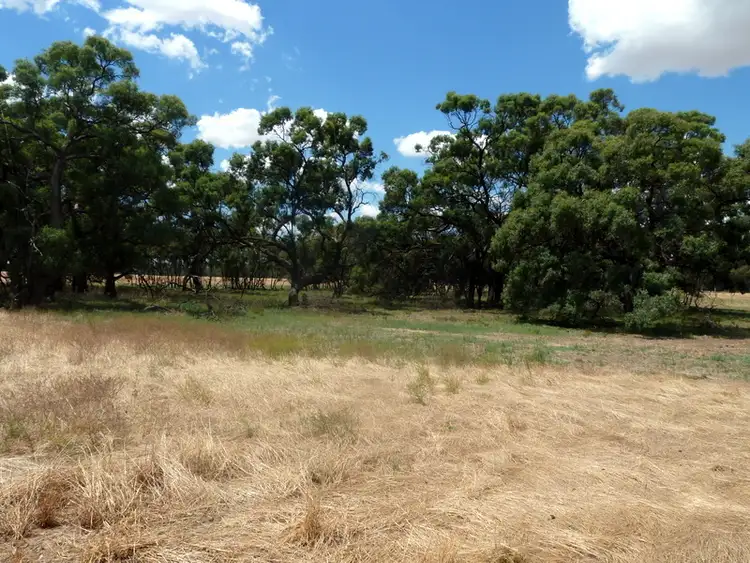 Fifth view of Homely rural property listing, Cas 15a, B, C & Cas 16a, B, E & F River Road, Charlton VIC 3525