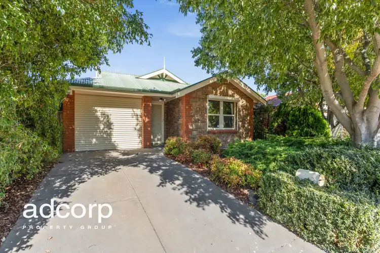 Main view of Homely house listing, 13 Ackland Court, Wynn Vale SA 5127